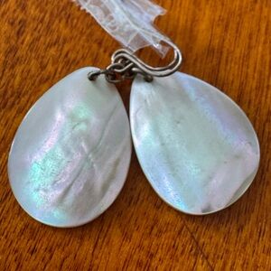 Iridescent Teardrop Earrings